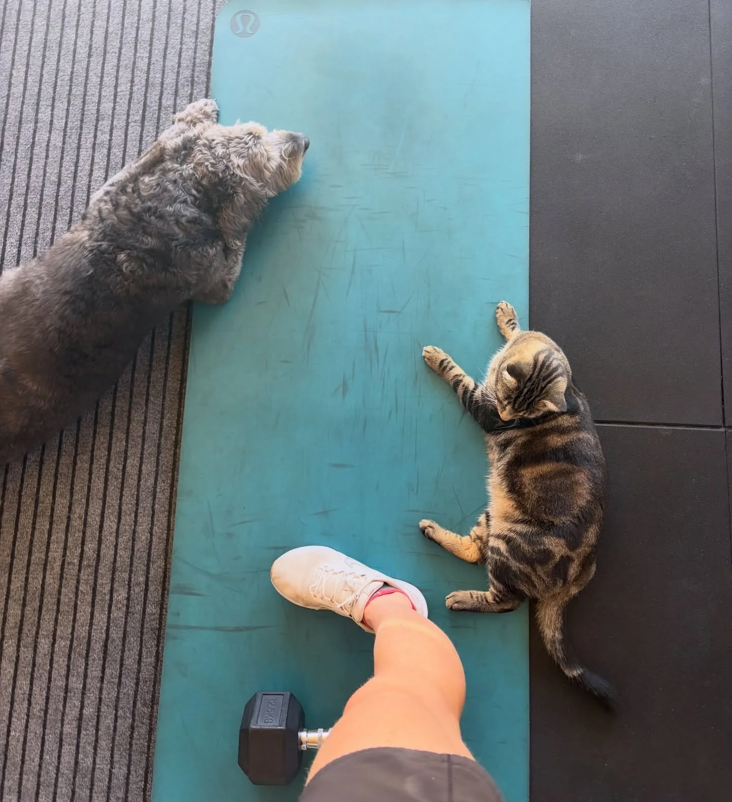 Workouts with friends 💙🙃 always the best