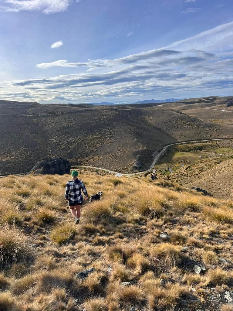 A person walking with a dog in a grassy, hilly landscape under a cloudy sky.