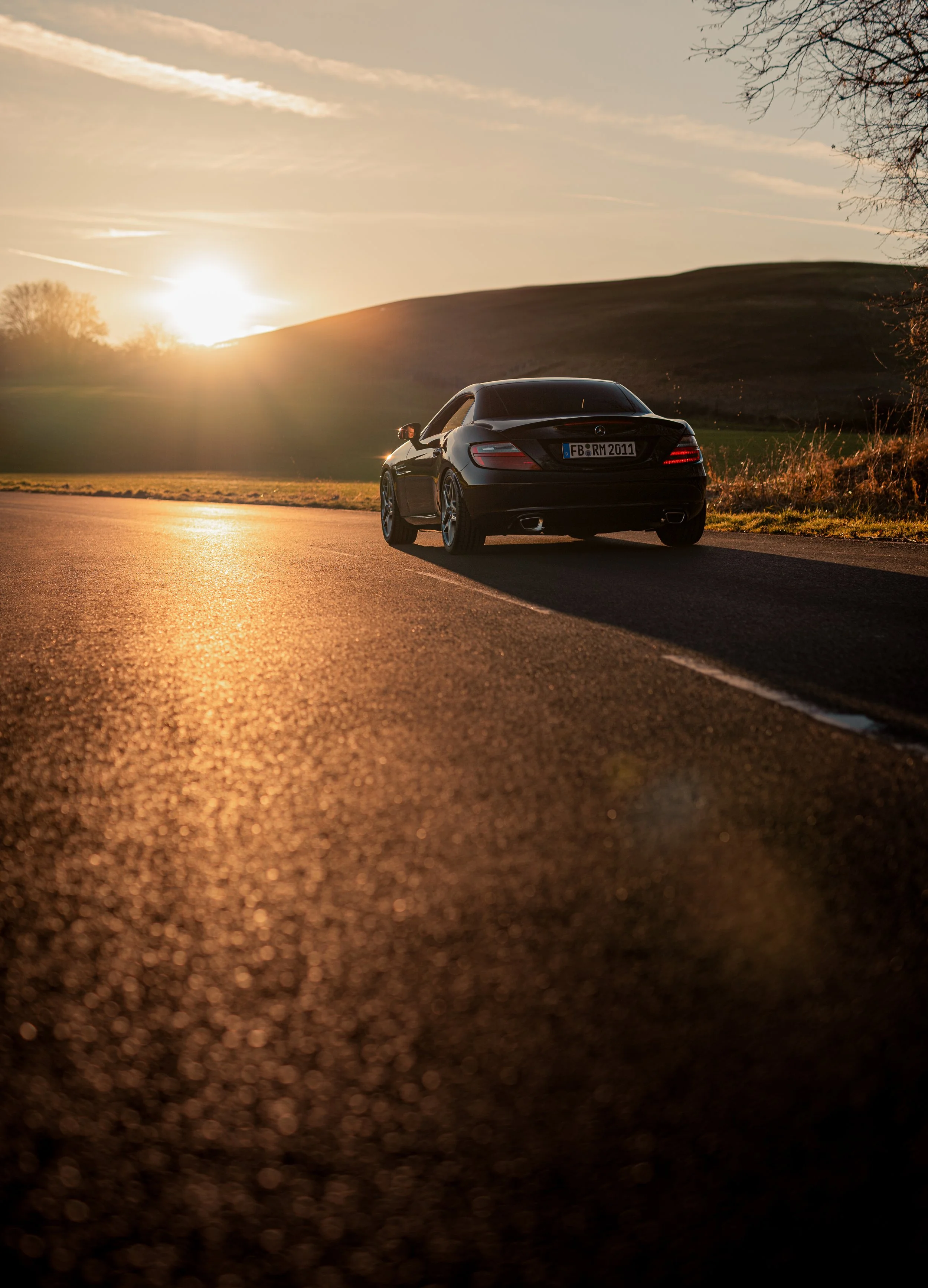 Sunset Back-1.jpg