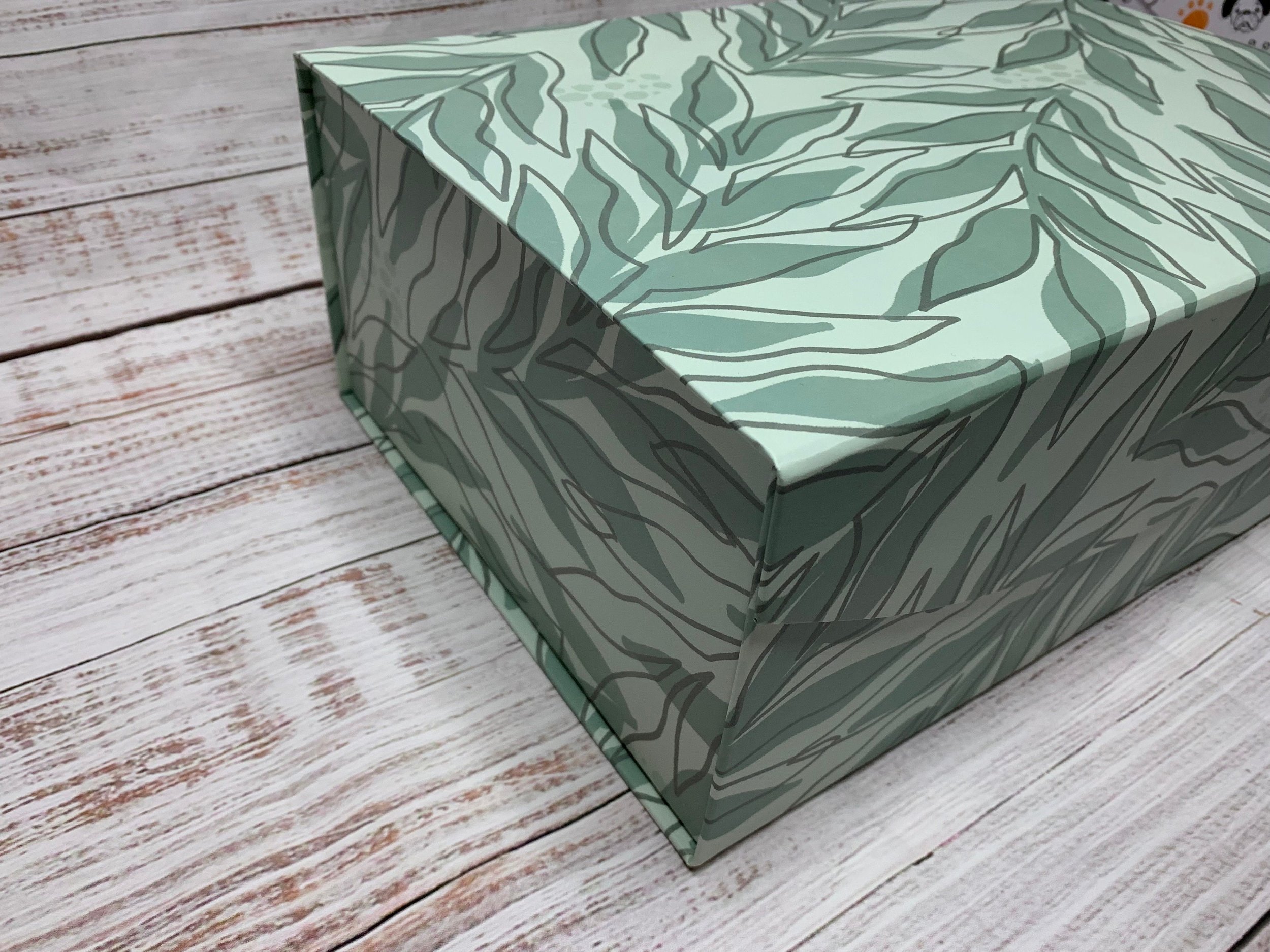 https://i.etsystatic.com/27373229/r/il/22478d/5750072907/il_fullxfull.5750072907_q6gx.jpg