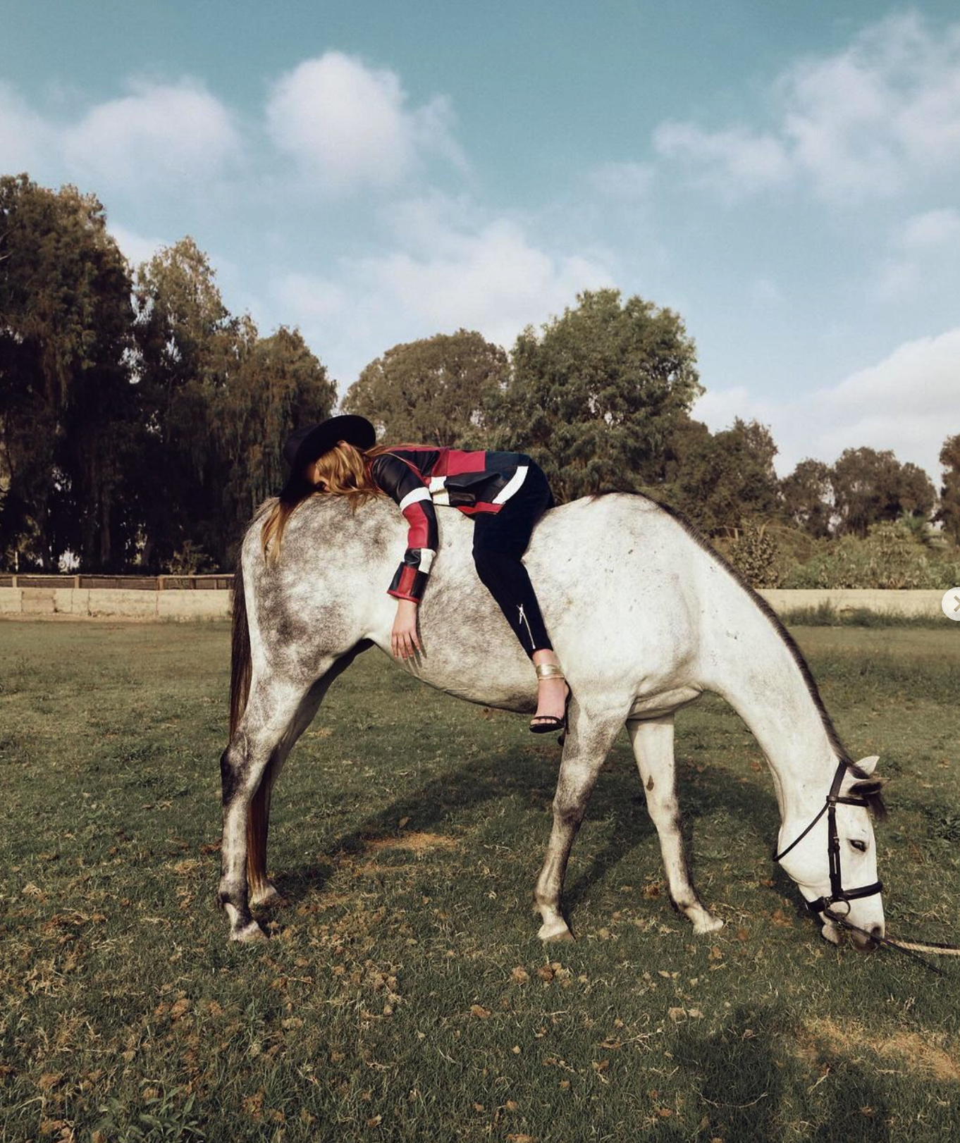 Captura de pantalla 2024-06-17 a la(s) 4.42.53 p. m..png