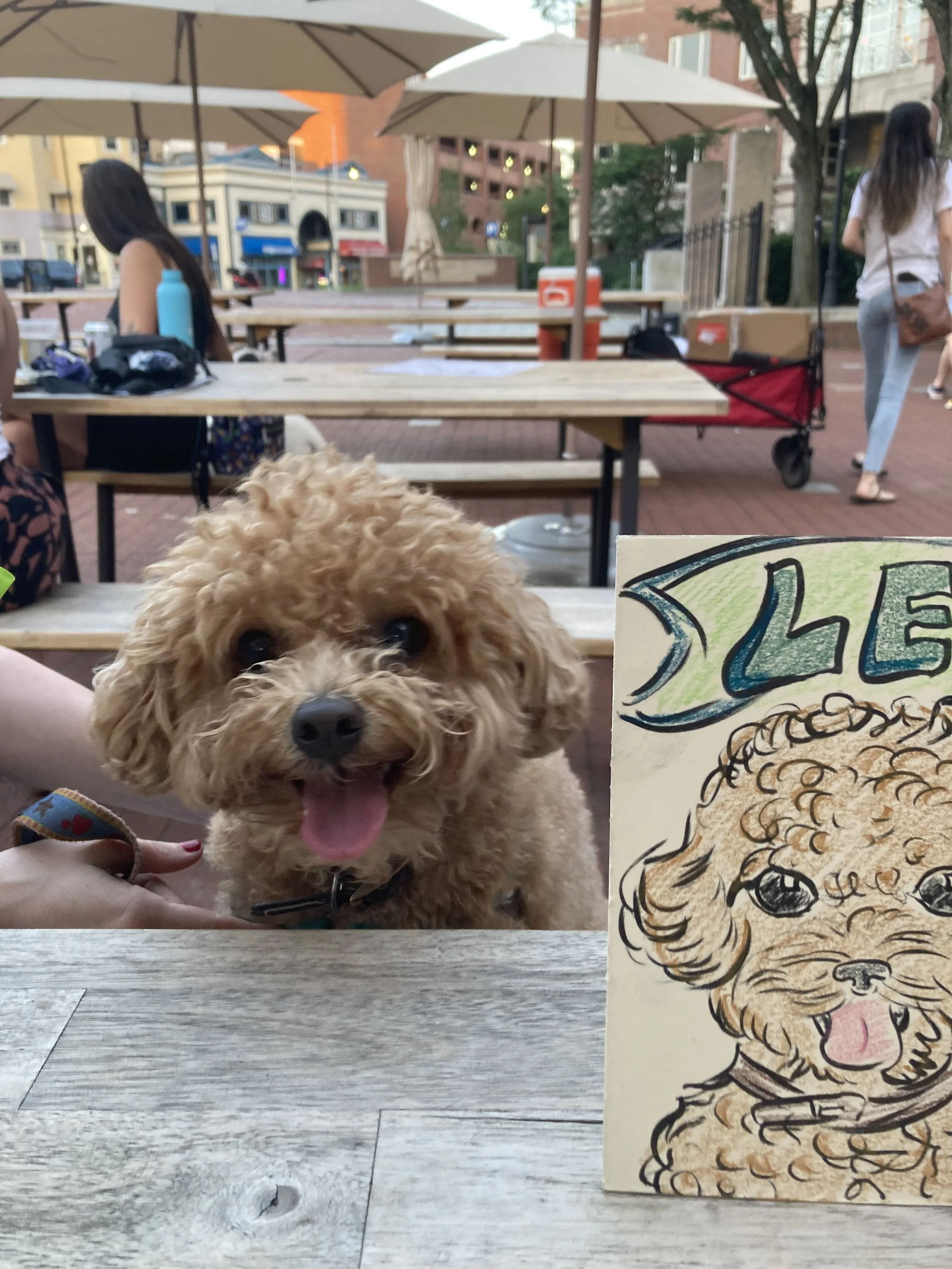 July 2024, cambridge ma