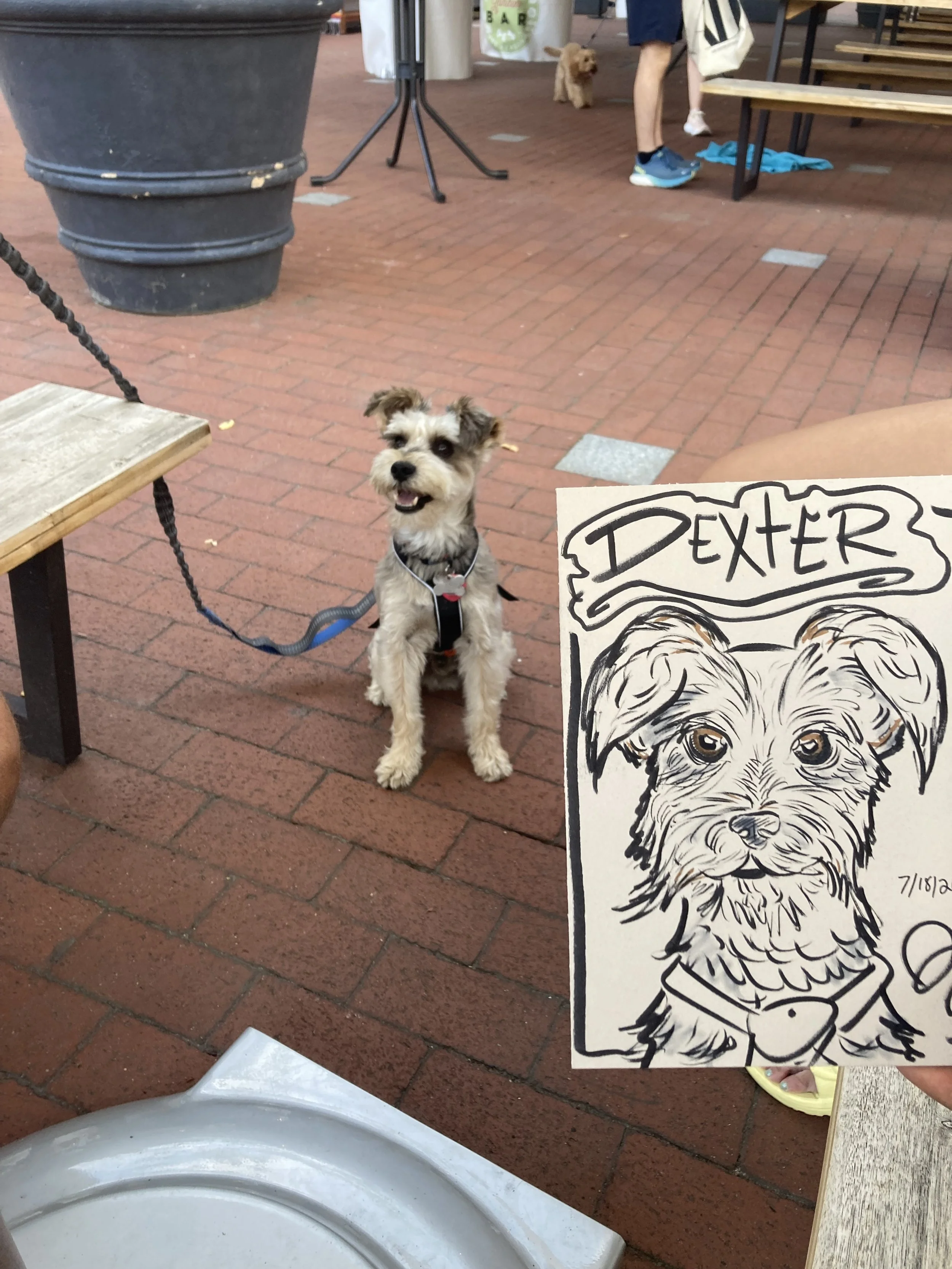 July 2024, cambridge ma