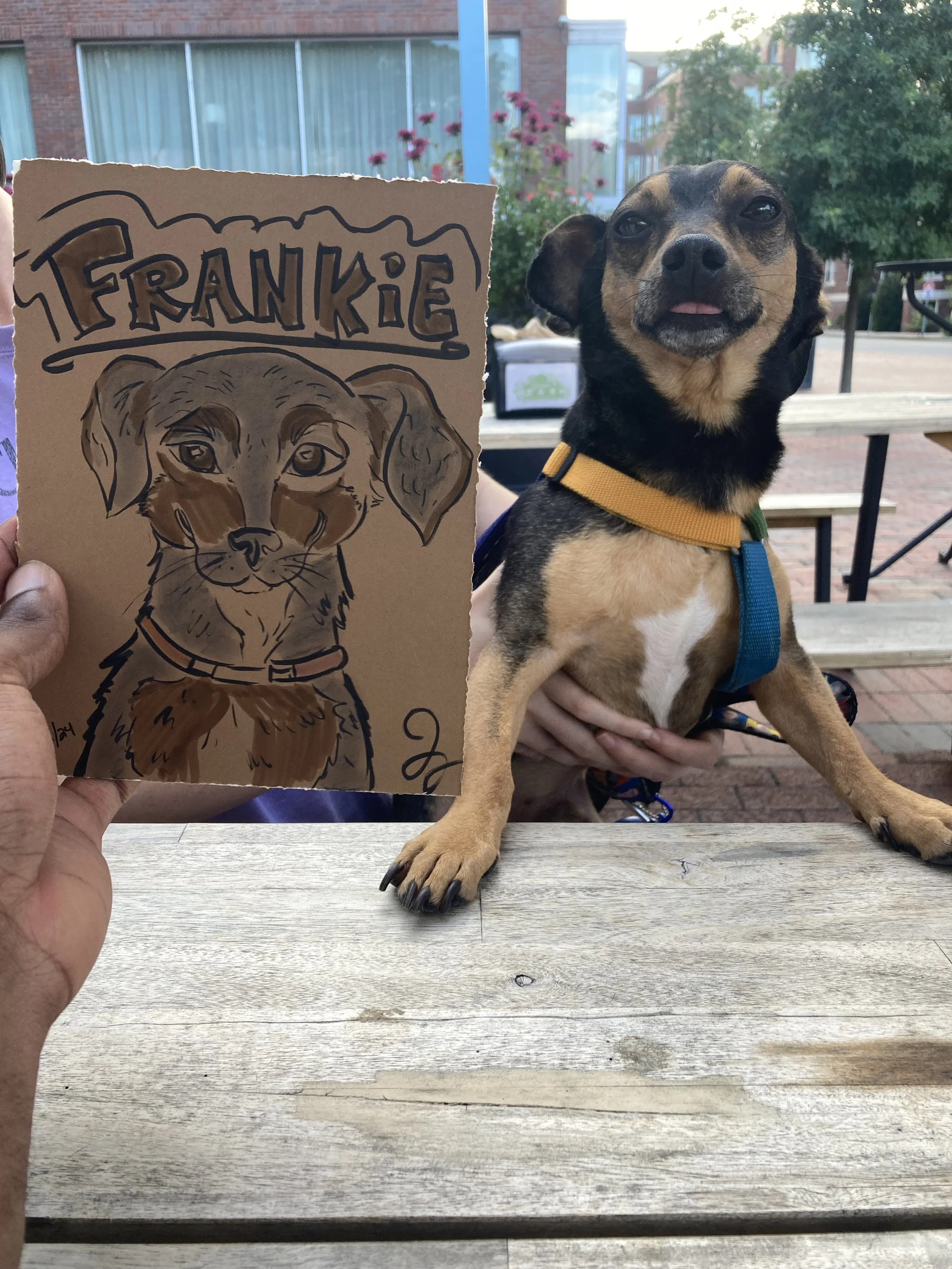 July 2024, cambridge ma