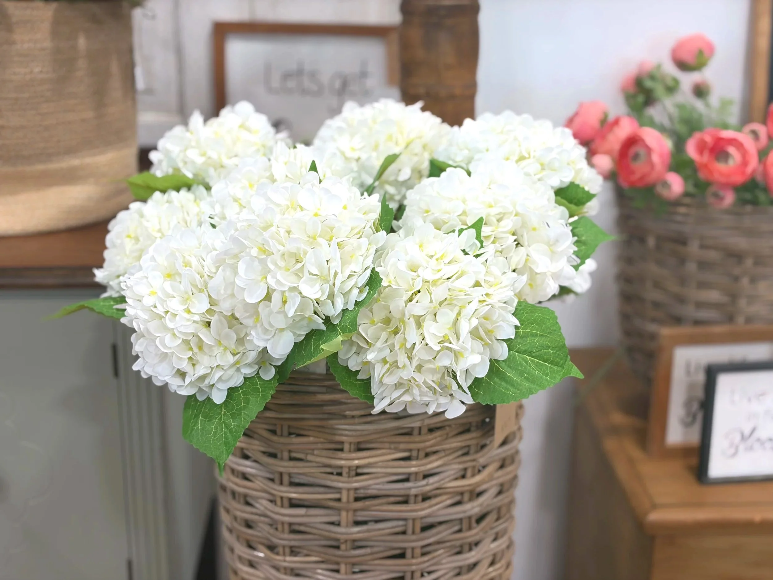 White+Hydrangea+Stem.jpg