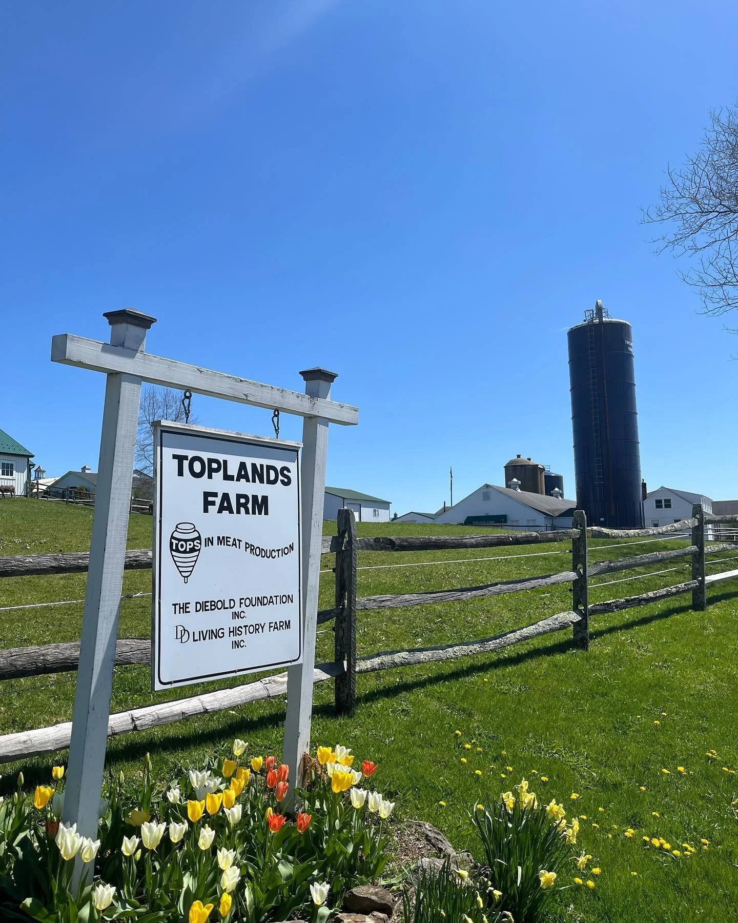 Toplands Farm HormoneFree PastureRaised Beef Pork Chicken & Eggs Roxbury, CT