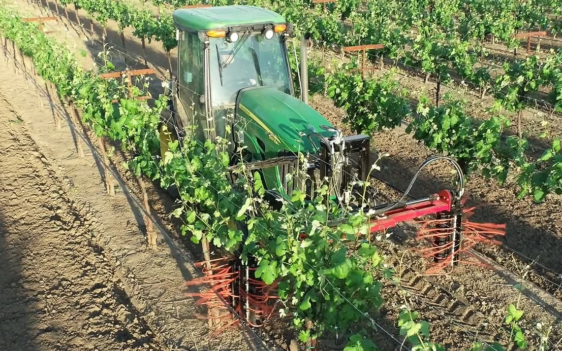 Acampo Machine Works Suckering Machine