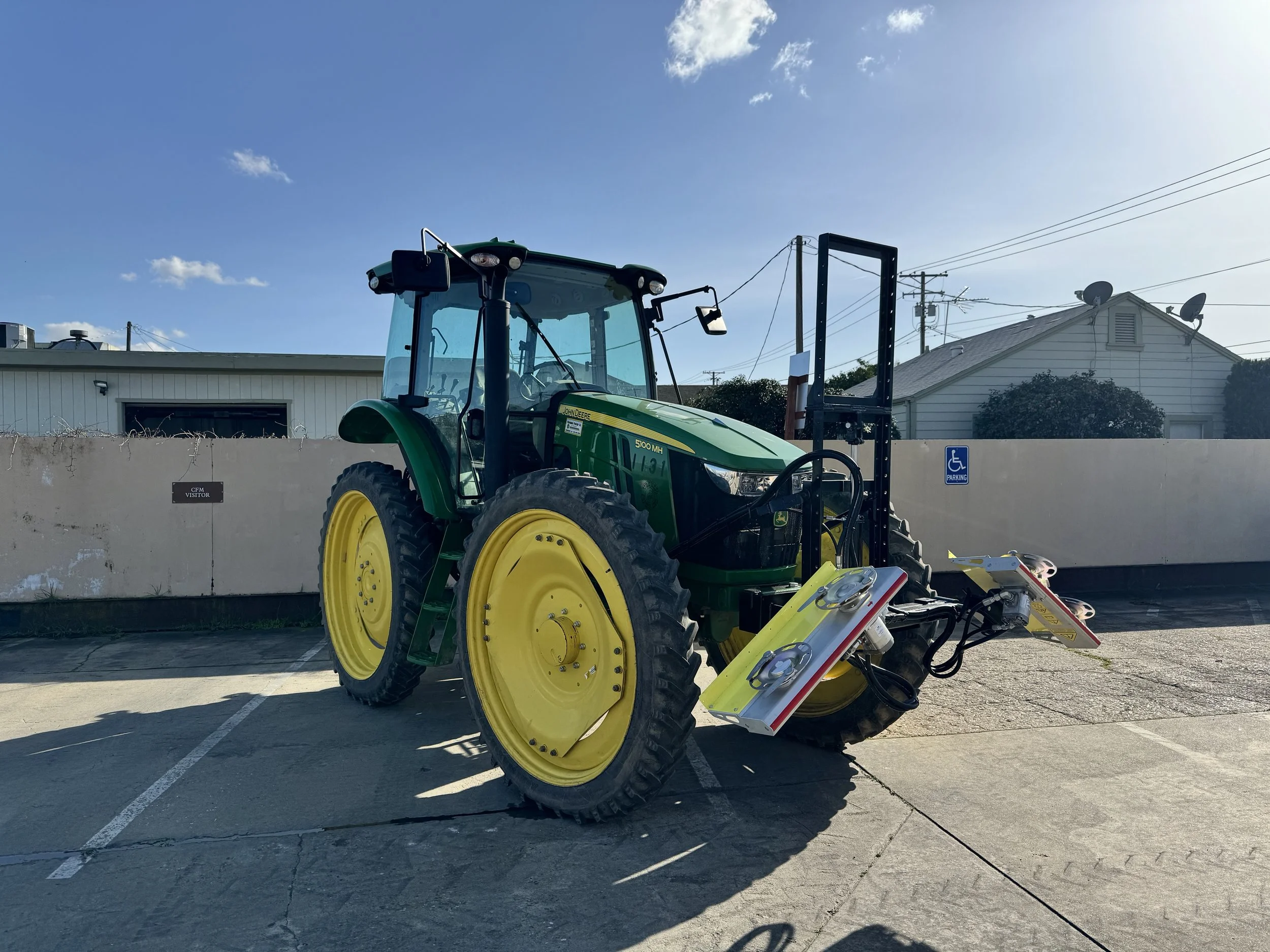 Collard Tree Skirter