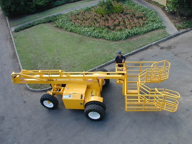 TOL Afron Date Palm Model