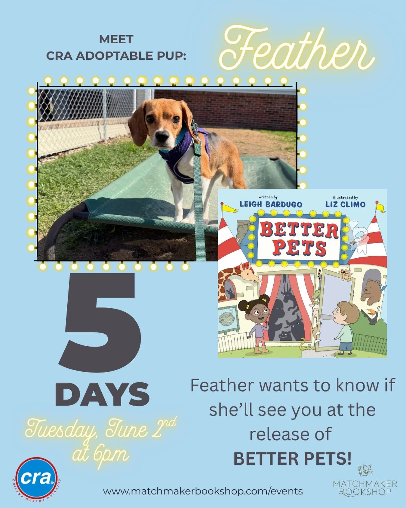 Everyone meet Feather! She will be at Matchmaker with @lbardugo and @lizclimo for the release of BETTER PETS. Feather is one of 15 Beagles that @chicagorescueauthority took in from the Beagle Freedom Project operation at Ridglan Farms. She is no long