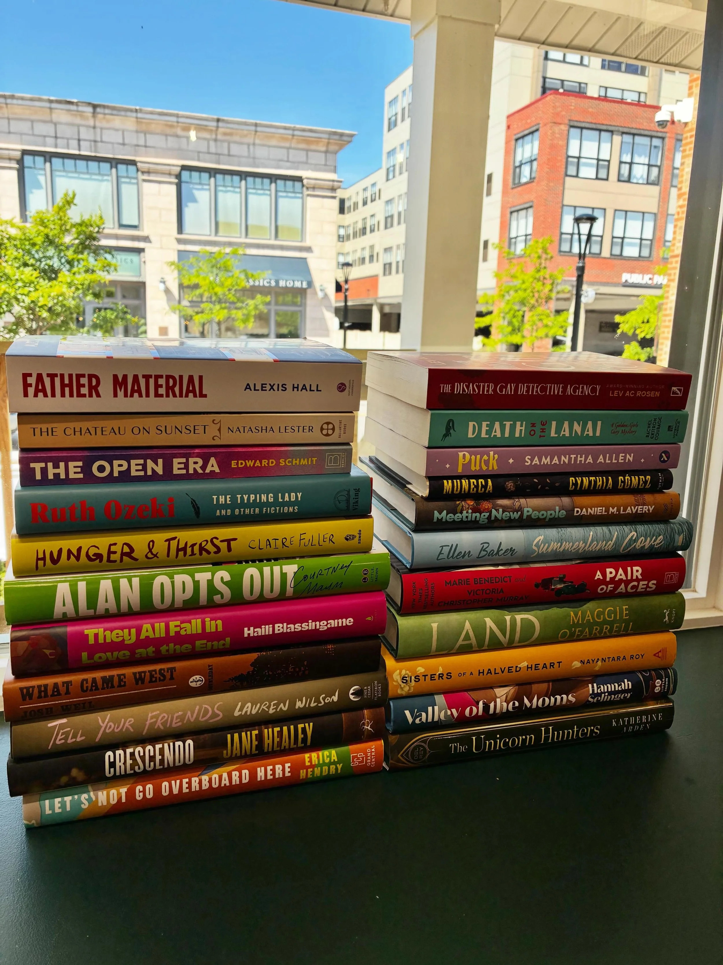 New release Tuesday! Come and get a copy of Ann Patchett&rsquo;s Whistler for Matchmaker&rsquo;s Book Club on June 25. Talk to Lauren about @melissaalbertauthor and The Children and hear about some of our other favorites! 

#shopindiebookstores #shop