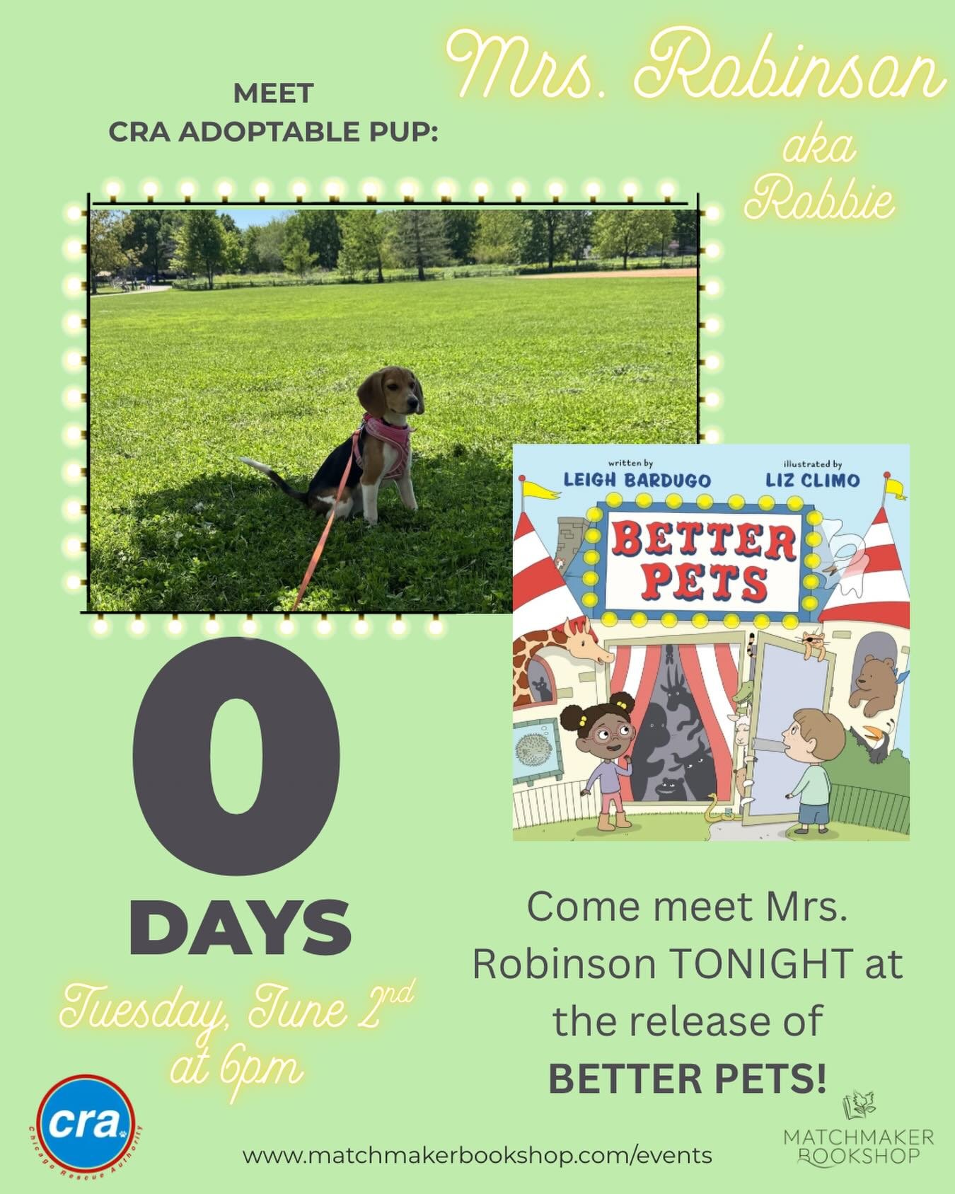 Today is the day! Come meet all of the sweet @chicagorescueauthority adoptable pups and get your hands on your copy of @lbardugo and @lizclimo BETTER PETS! Our last featured adoptable is Mrs. Robinson, AKA Robbie. She is another of the 1500 freed Rid