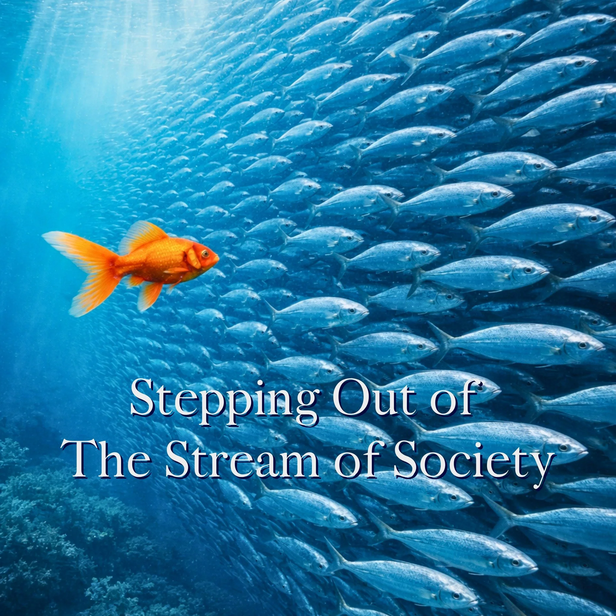 #spiritualgrowth #faithandlife #purpose #clarity #innerwork #spiritualawakening
#personaldevelopment #meaningfulliving #faithjourney #mindfulgrowth