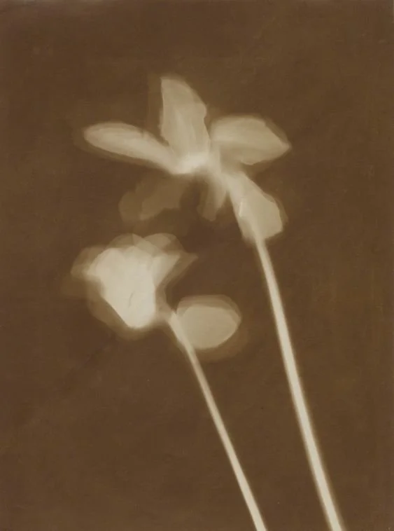 Floral.jpg