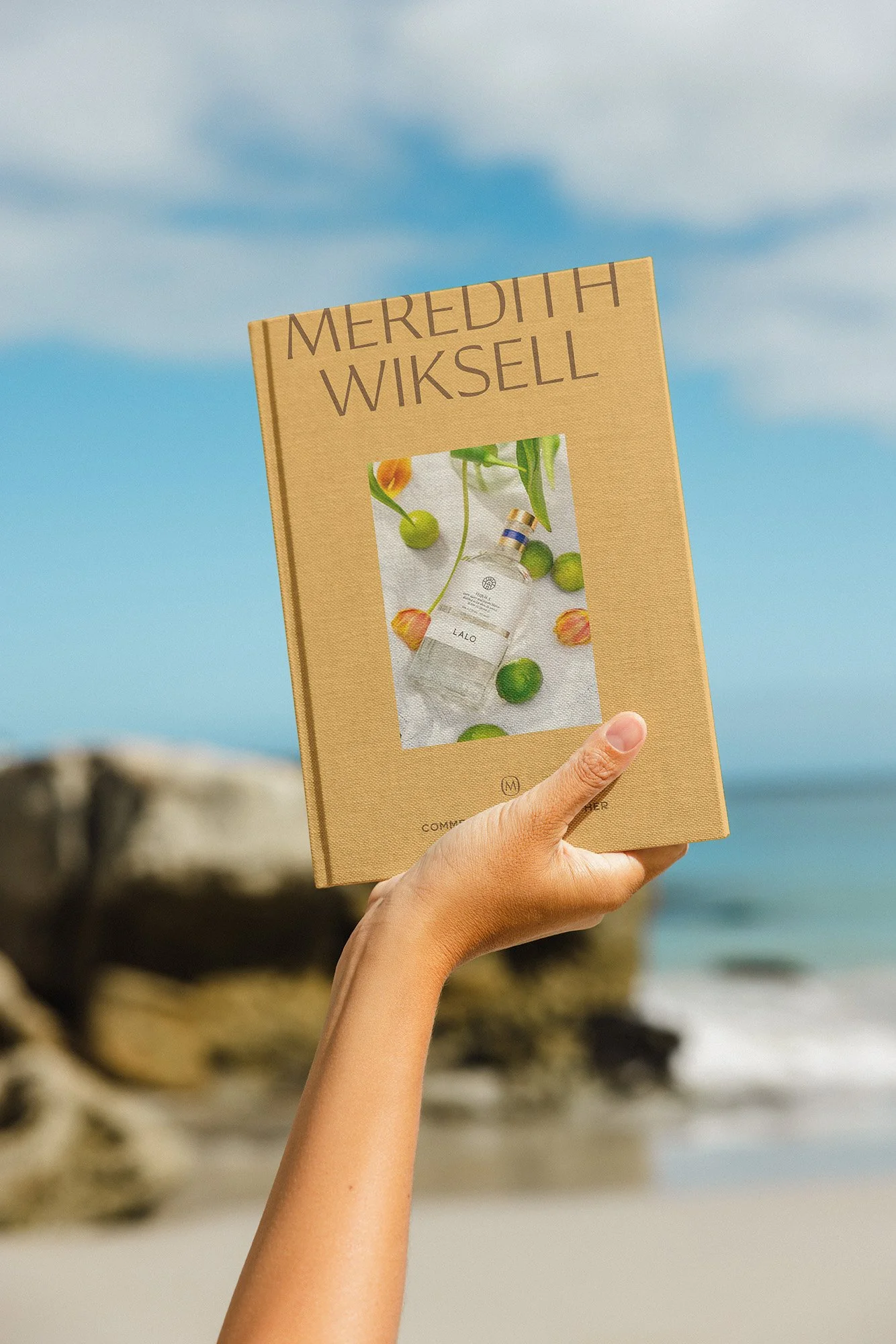 A hand holding a book titled 'Meredith Wiksell' with a picture of a bottle and green fruits on the cover, against a beach background with rocks and the ocean.