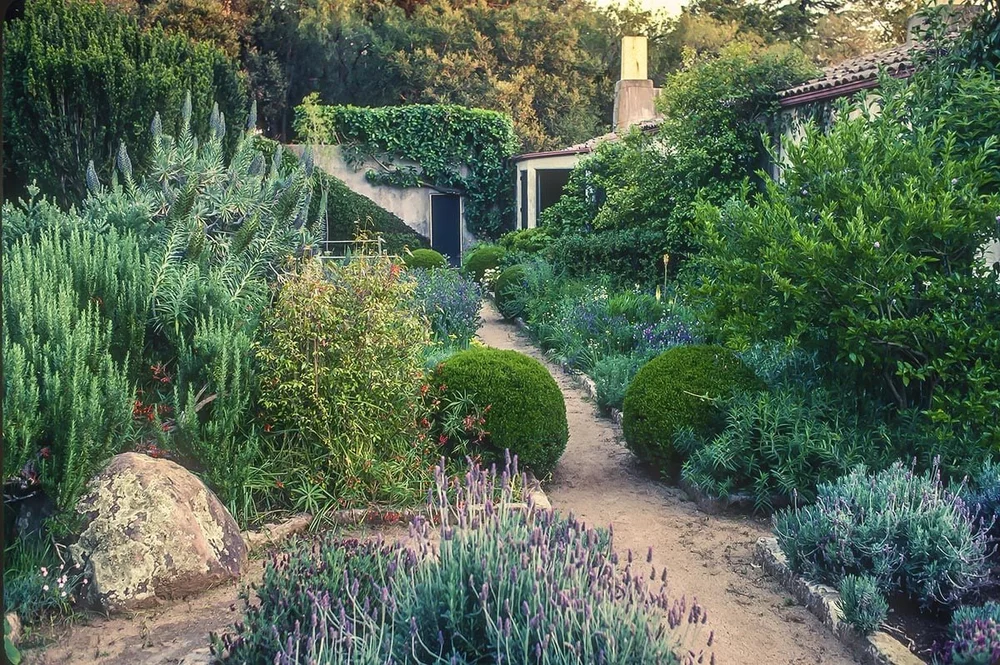 Lockwood de Forest: The Man Who Shaped Santa Barbara Landscape ...