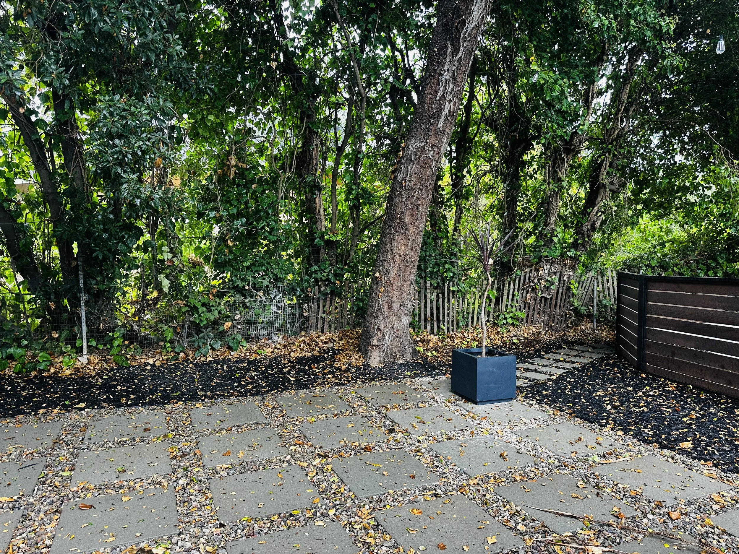 Back Garden.jpg
