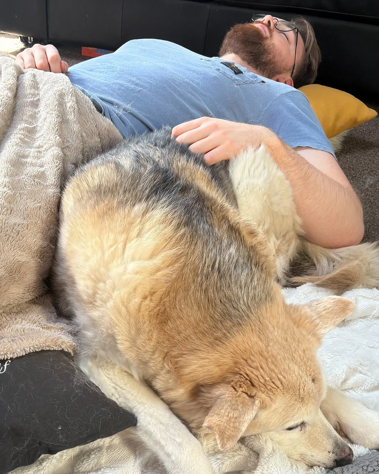 We had to say goodbye to this sweet girl this morning. Rain was a gift for our family, she was there for all the major moments. She has some pretty cool people (and dogs) waiting for her on the other side.  I love you Rain, thank you for everything ❤