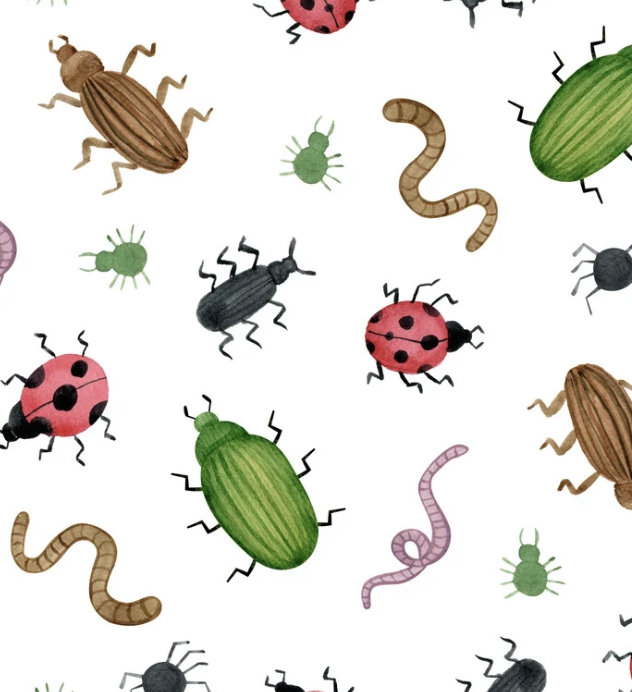 Getting Active with Insects