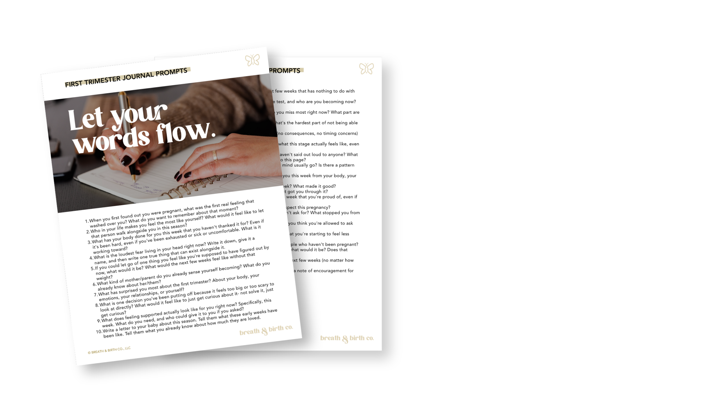 mockup of an online self-paced on-demand childbirth education course situational practices guide