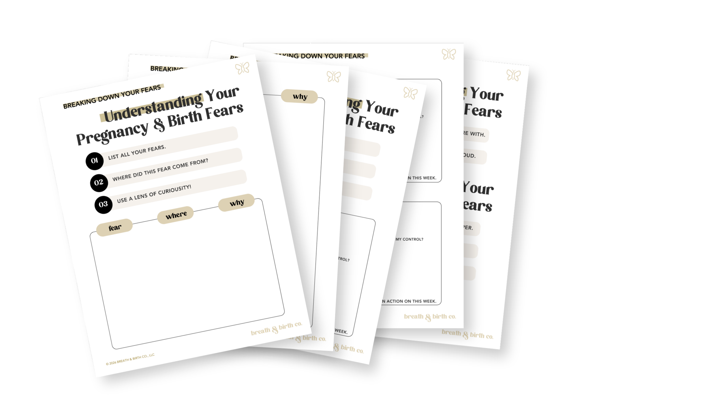 mockup of an online self-paced on-demand childbirth education course birth support worksheet