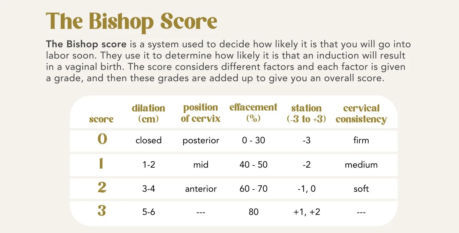 Bishop Score Chart Metamorphosis Self-Paced Online Childbirth Education Course by Breath & Birth Co