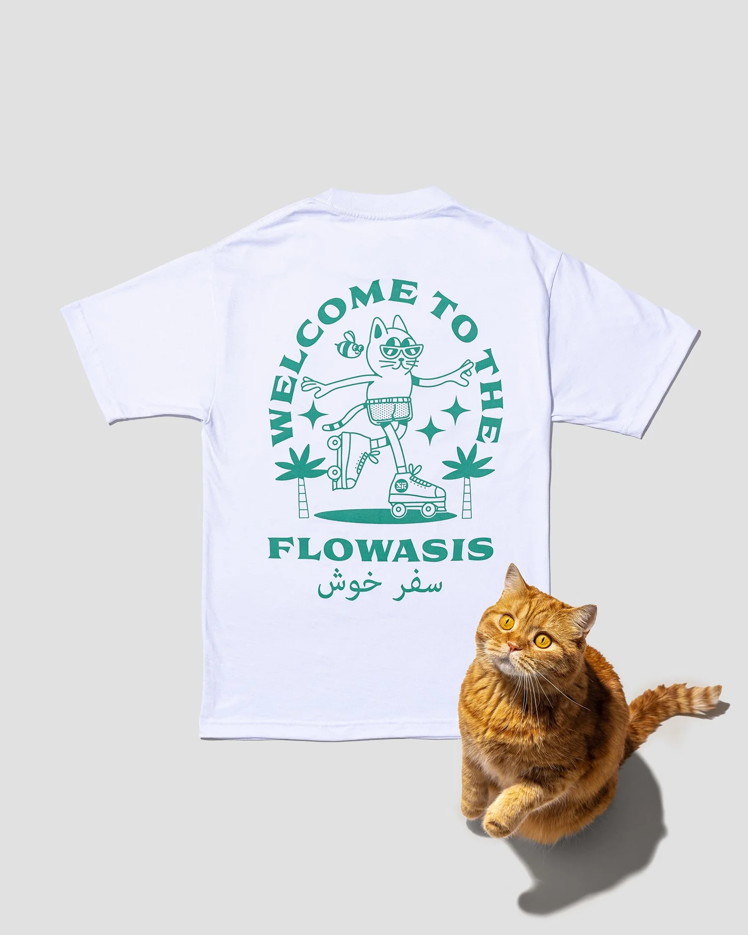 03 Flowasis Back Bosu 2.jpg