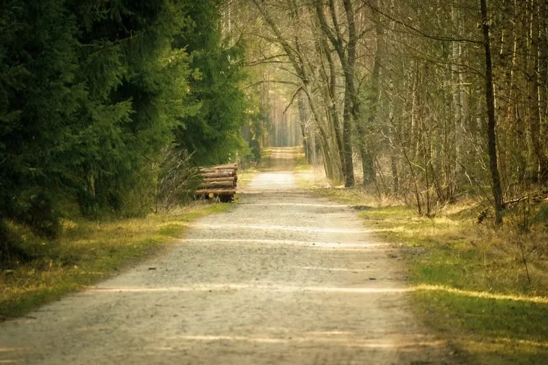 Exploring Therapy Career Paths | Mental Health Jobs Beyond the Couch