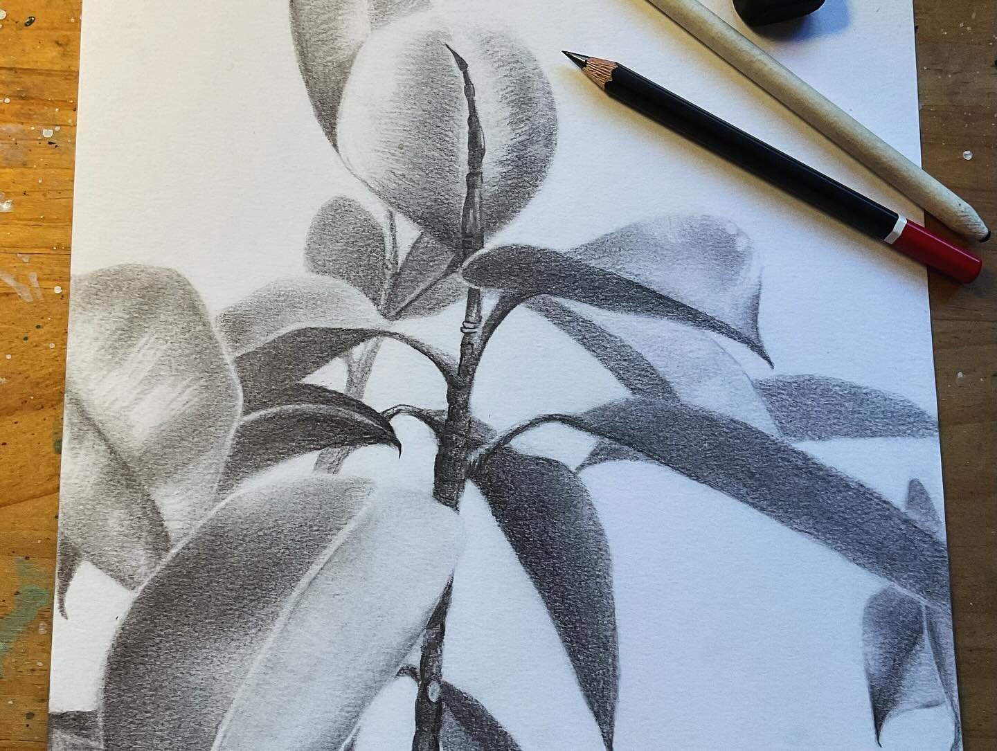 🎨 Free Trial: Fundamentals of Sketching Class 🖌️

Want to sharpen your drawing skills or start learning art with a solid foundation? Join me this Wednesday from 4:30-7pm at gheerulla hall for a free trial of my Fundamentals of Sketching class! ✏️ W