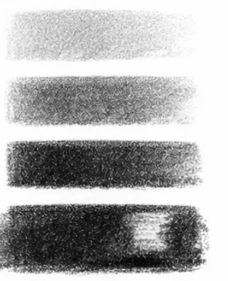IMG_8747.jpeg