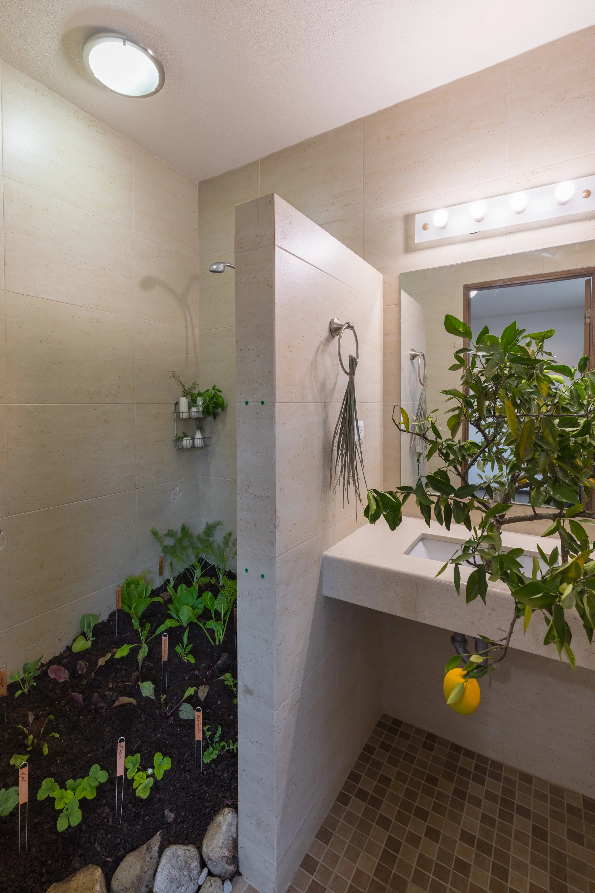 4L7A3311-HDR.jpg
