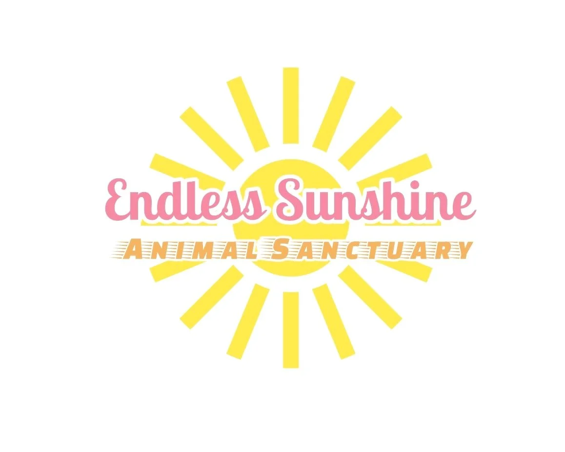 Endless Sunshine Animal Sanctuary 