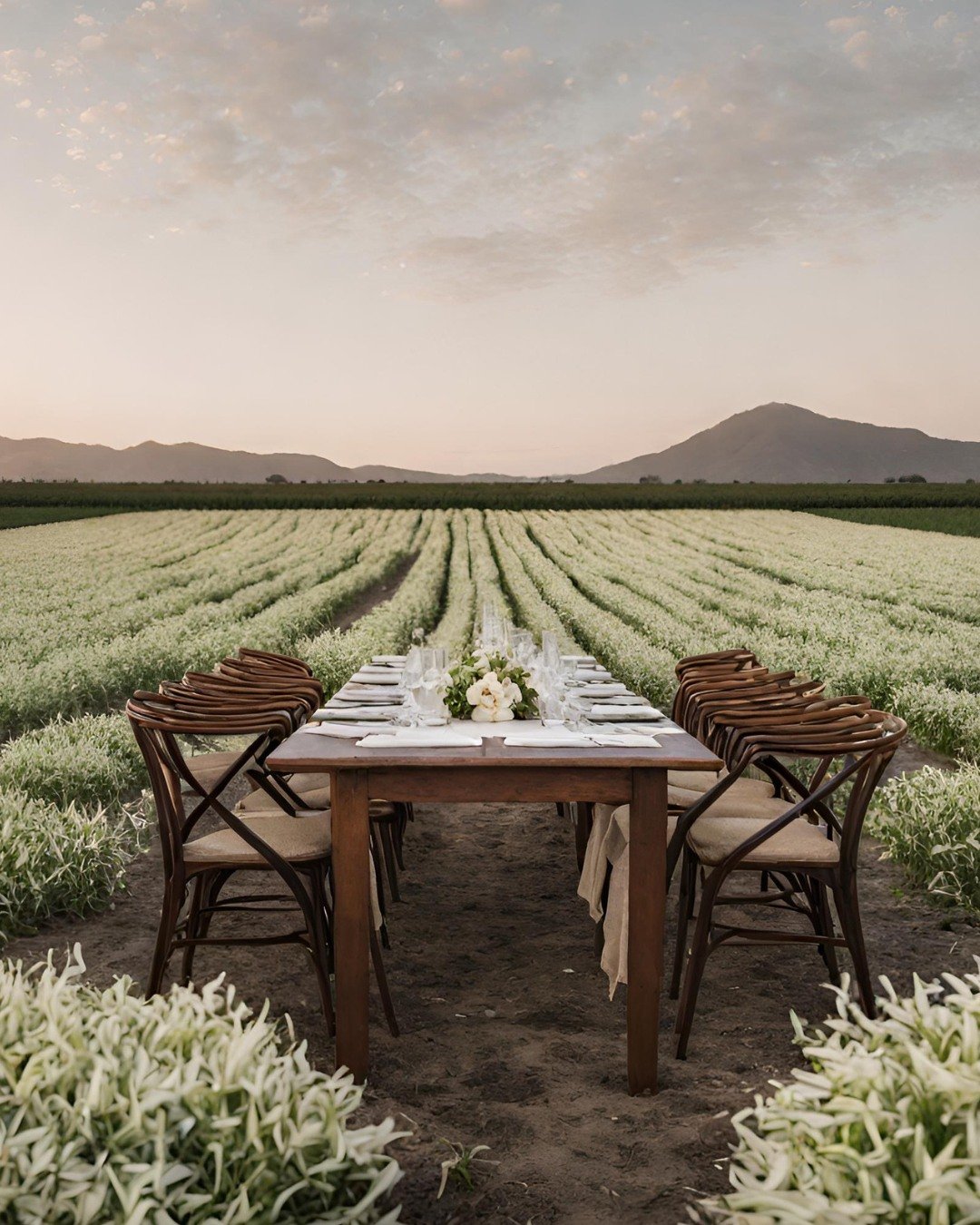 🎉✨ Cr&eacute;ez une exp&eacute;rience inoubliable avec les parfums d&rsquo;ambiance lors de vos &eacute;v&eacute;nements ! ✨🎉

Le parfum a un pouvoir magique : il &eacute;veille les souvenirs, influence l&rsquo;atmosph&egrave;re et rend chaque mome