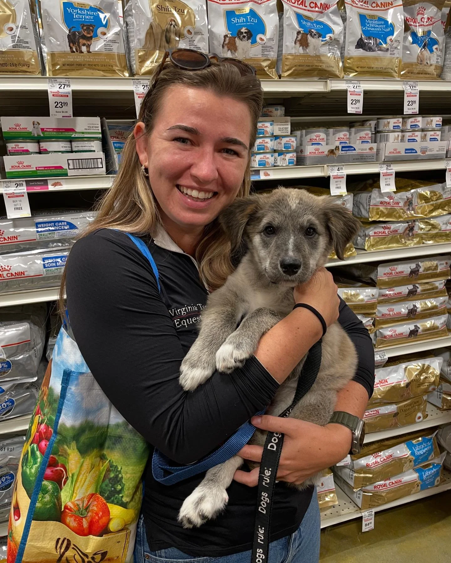 Welcome to the family, Kevin!!! 🐾

Are we insane? Have we adopted two animals in two weeks? The answer to both is yes. But we&rsquo;re just thrilled with our family lineup 💜 Don&rsquo;t send me a single picture of an animal that needs adopting&hell