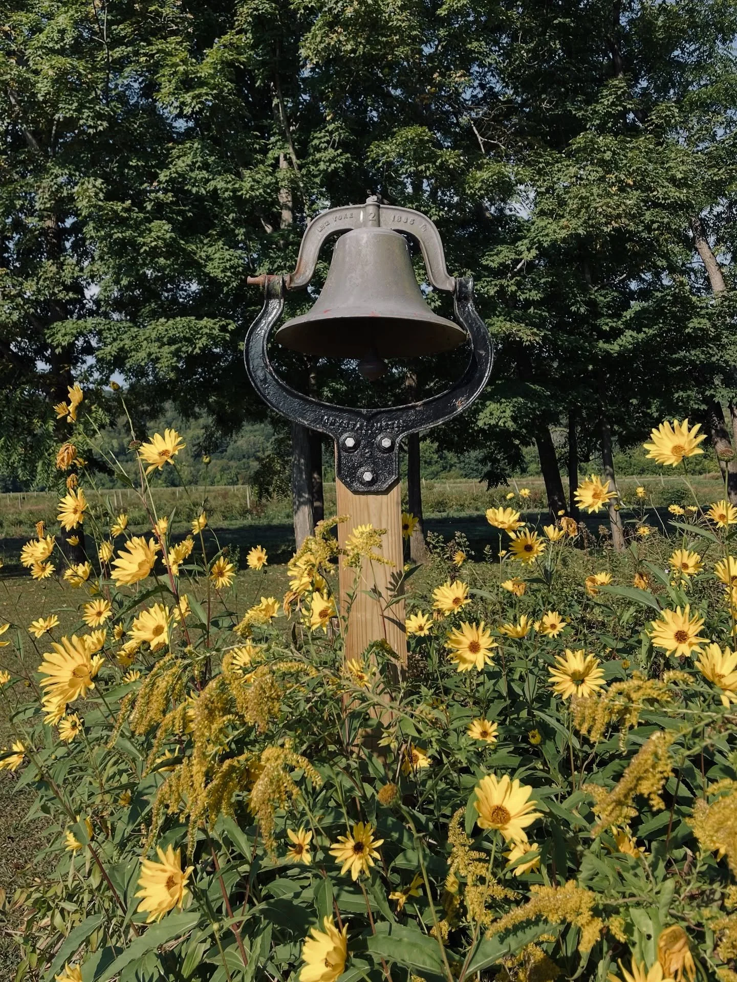 September at the Thomas Smith House. 

#agawam #agawamma #agawammass #feedinghills #feedinghillsma #agawamhistory #agawamhistoricalassociation #westernmasshistory #latesummer #earlyfall