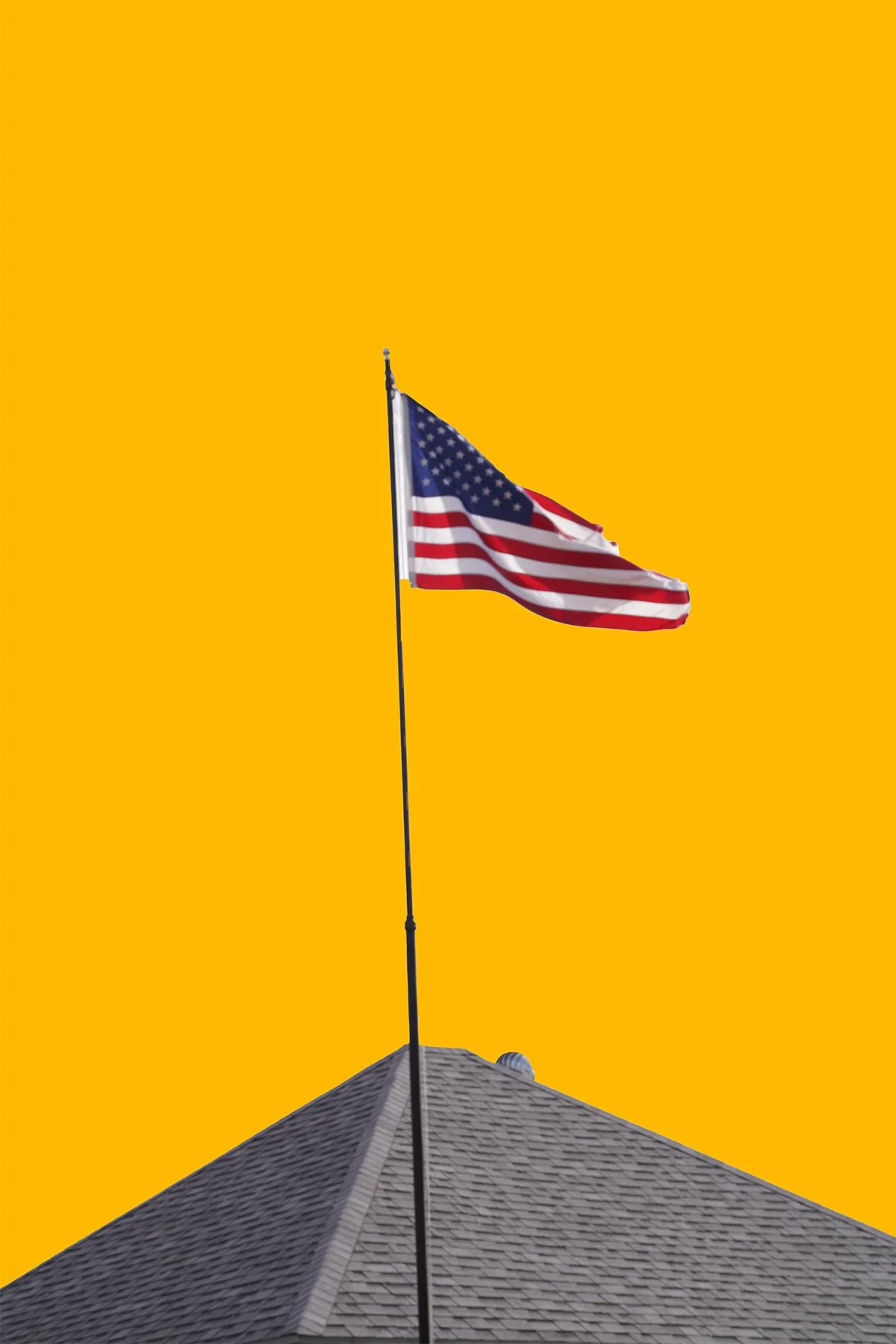 The Flag