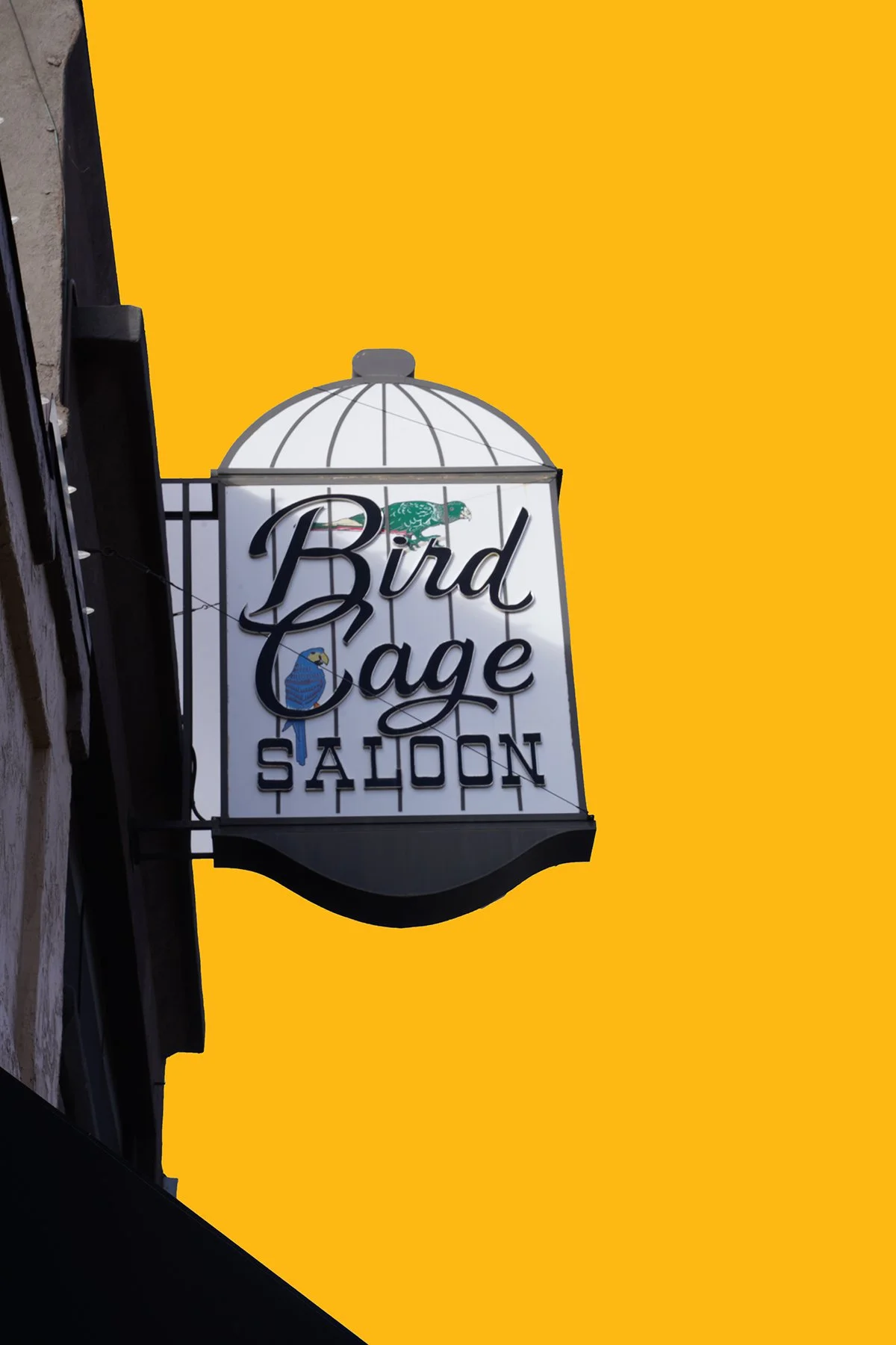 The Saloon - Bird Cage