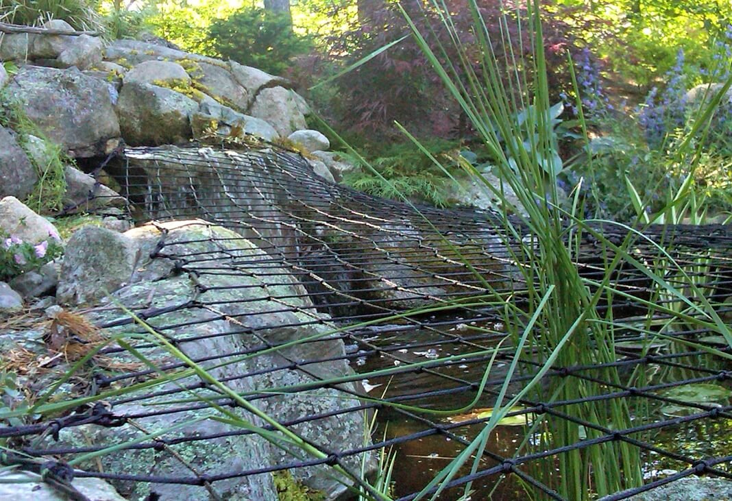pond-net-new-york.jpg