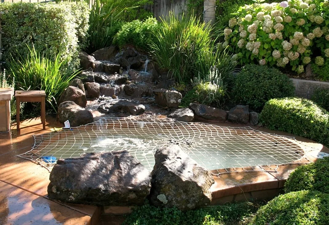 pond-cover-safety.jpg