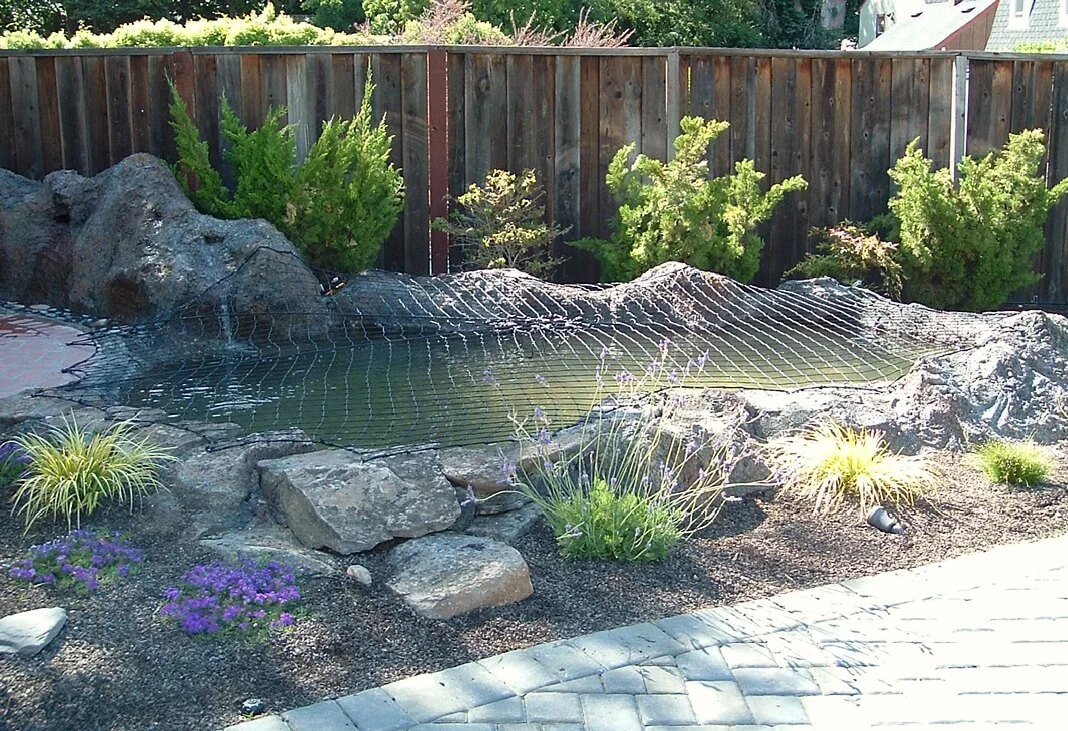 ornamental-pond-safety.jpg