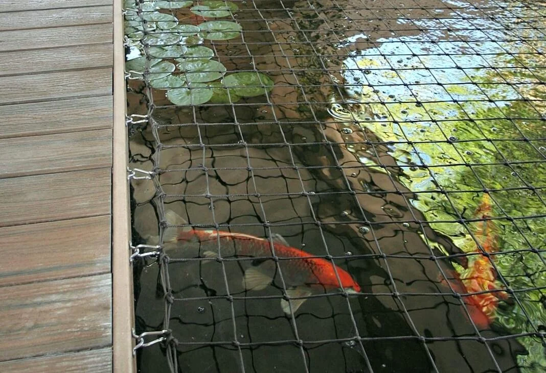 fish-pond-safety-net.jpg