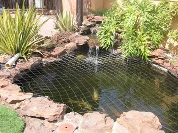 pond net.jpg