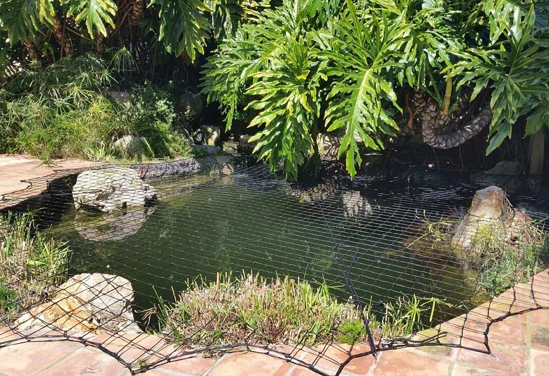 child-pond-safety-net.jpg
