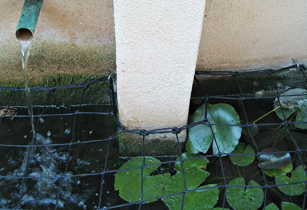 water-feature-net.jpg