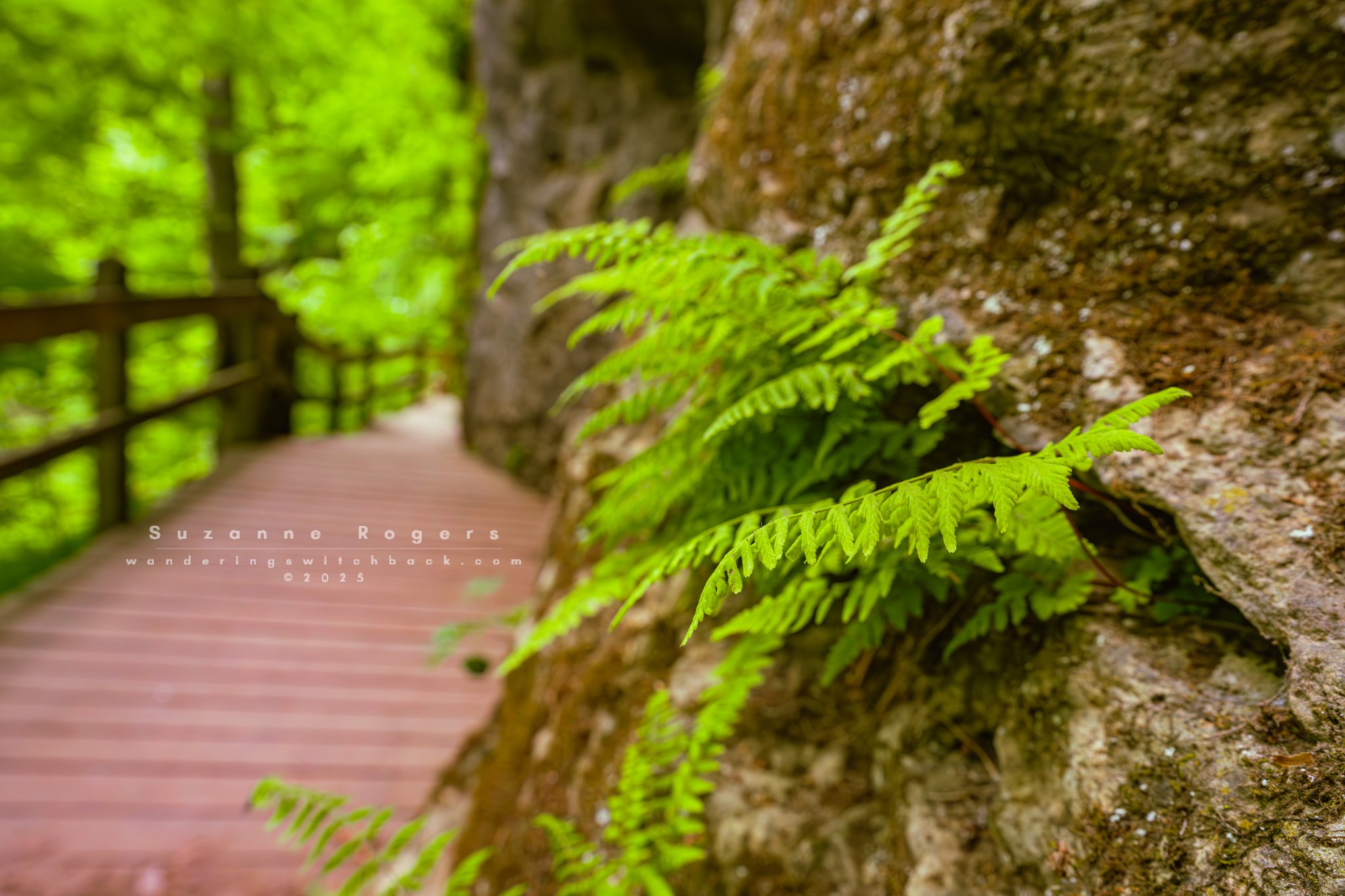 Maquoketa Caves State Park