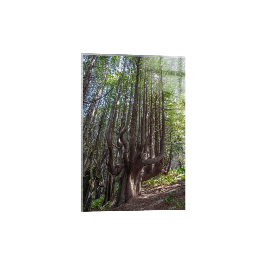 ptq_13_3_0_0_4000_6000_0_false_ffffff_0_0_.png