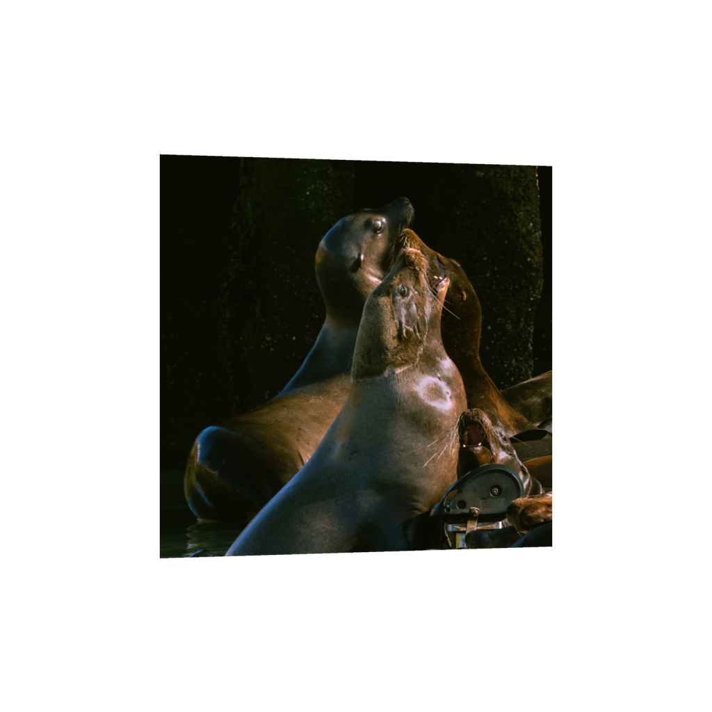 ptq_1_0_0_515_3269_3269_0_false_ffffff_0_0_.png