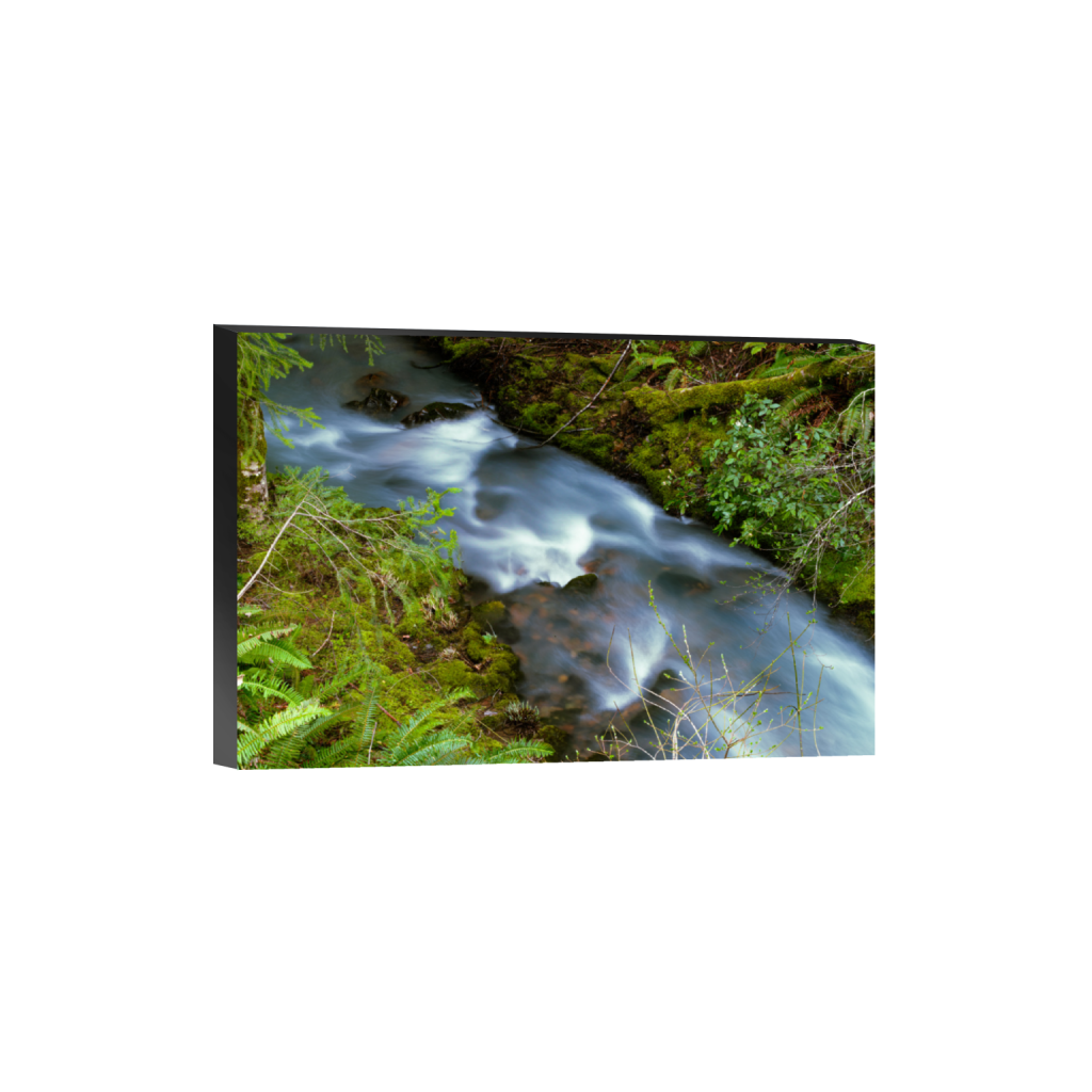 ptq_32_3_0_0_9504_6336_0_false_ffffff_0_0_.png