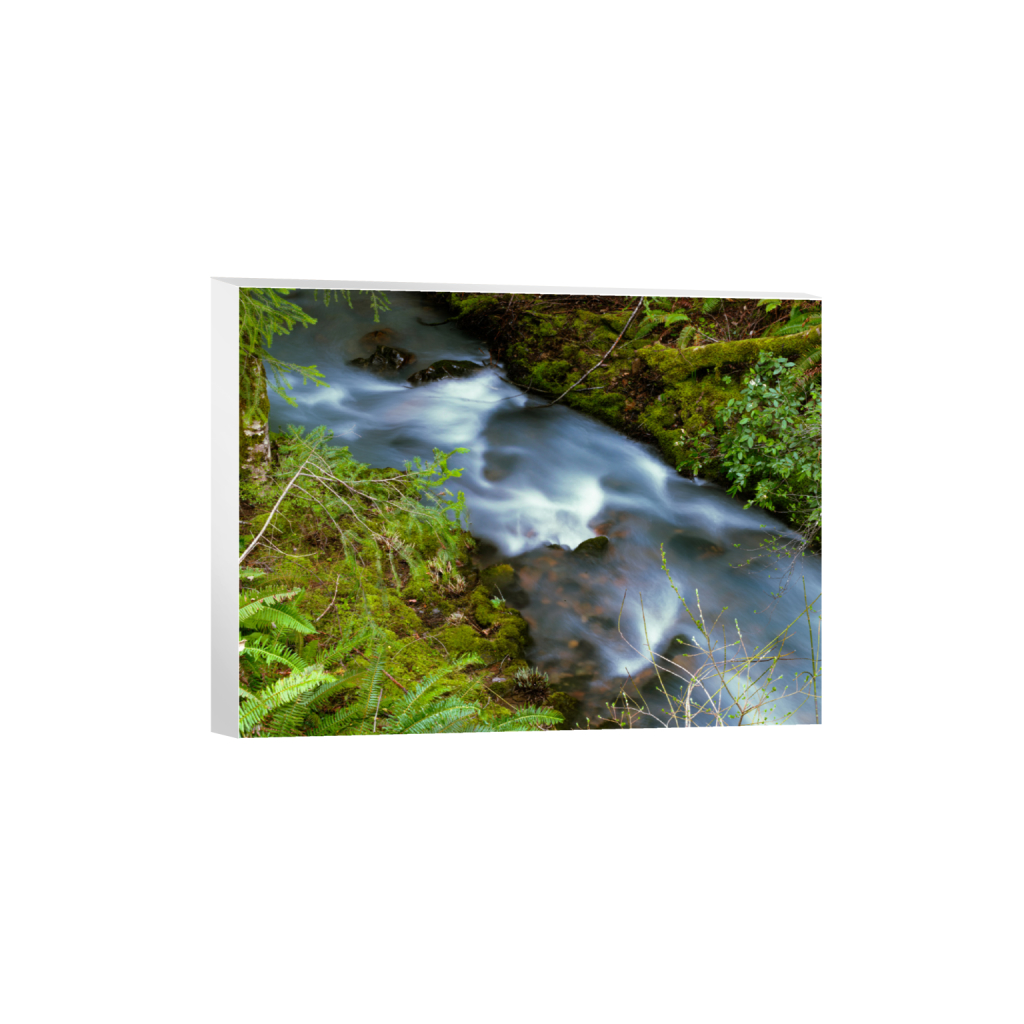 ptq_7_5_0_0_8448_6336_0_false_ffffff_0_0_.png