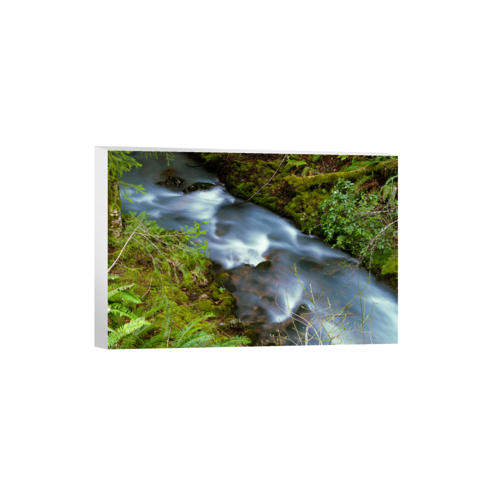 ptq_7_3_0_0_9504_6336_0_false_ffffff_0_0_.png